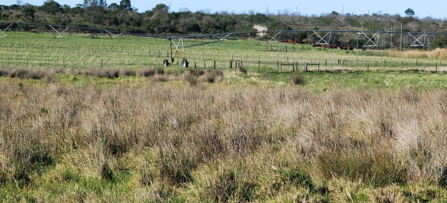 0 Bedroom Property for Sale in St Francis Bay Eastern Cape